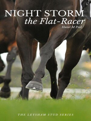 cover image of Night Storm the Flat-Racer
